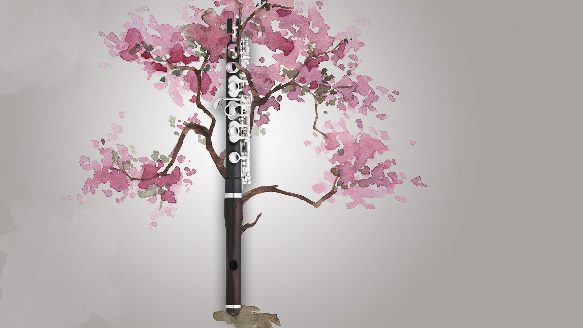 Springtime in Washington D.C. with the Albany Symphony