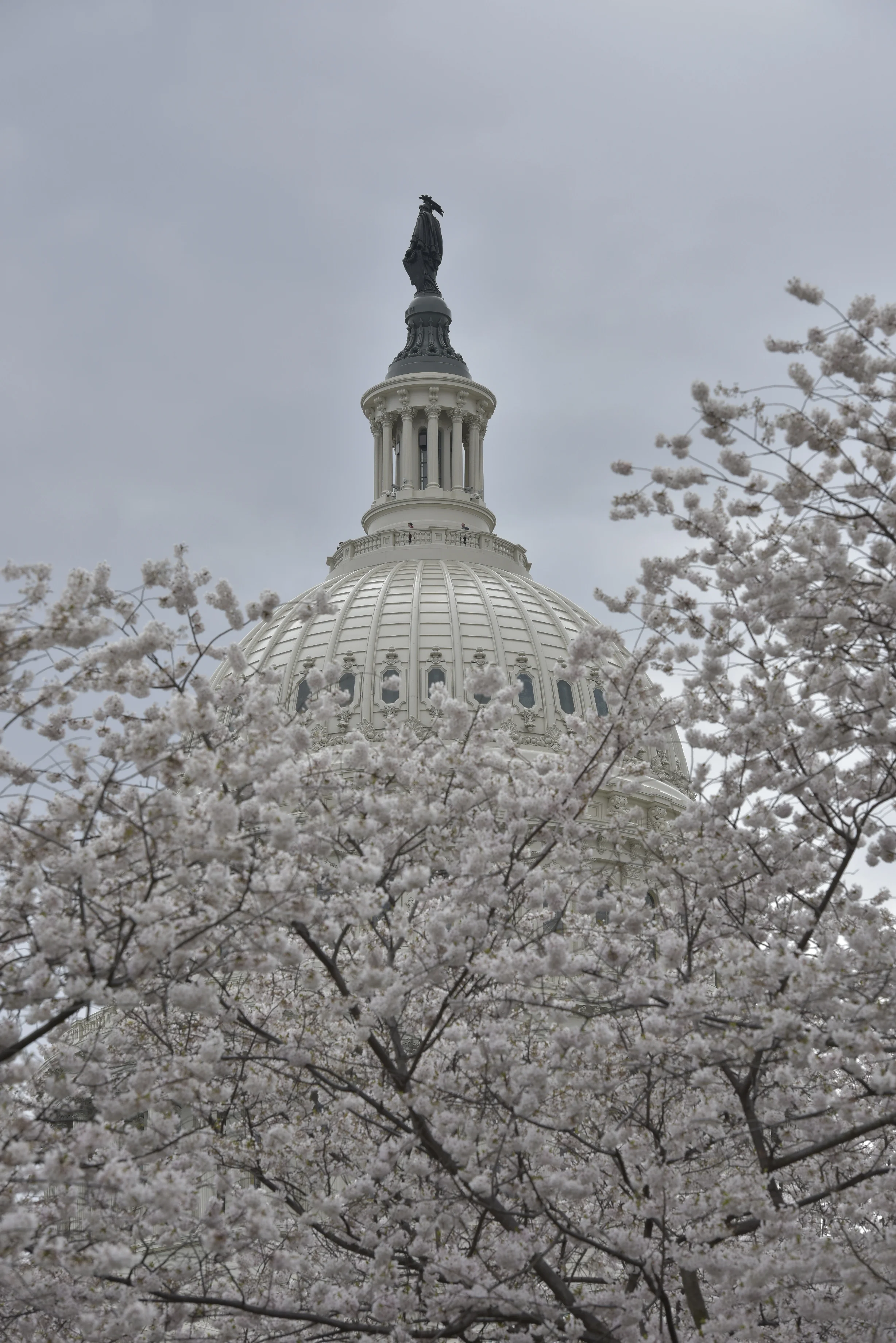 ON THE ROAD:  Visits, Pop-ups and more! 