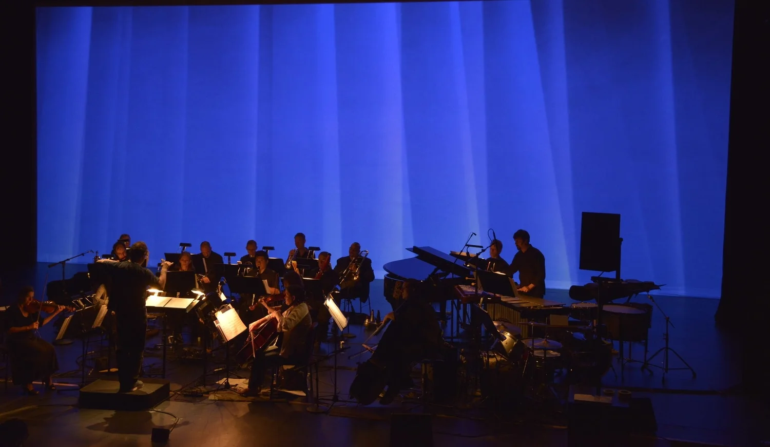 Dogs of Desire at the American Music Festival — June 2015