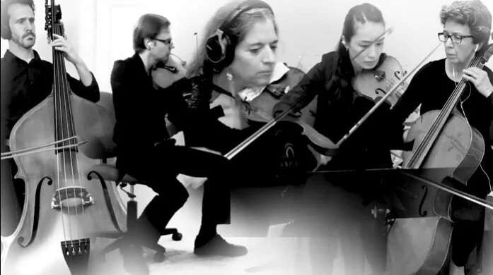 Symphony Spotlight - 10/1/20