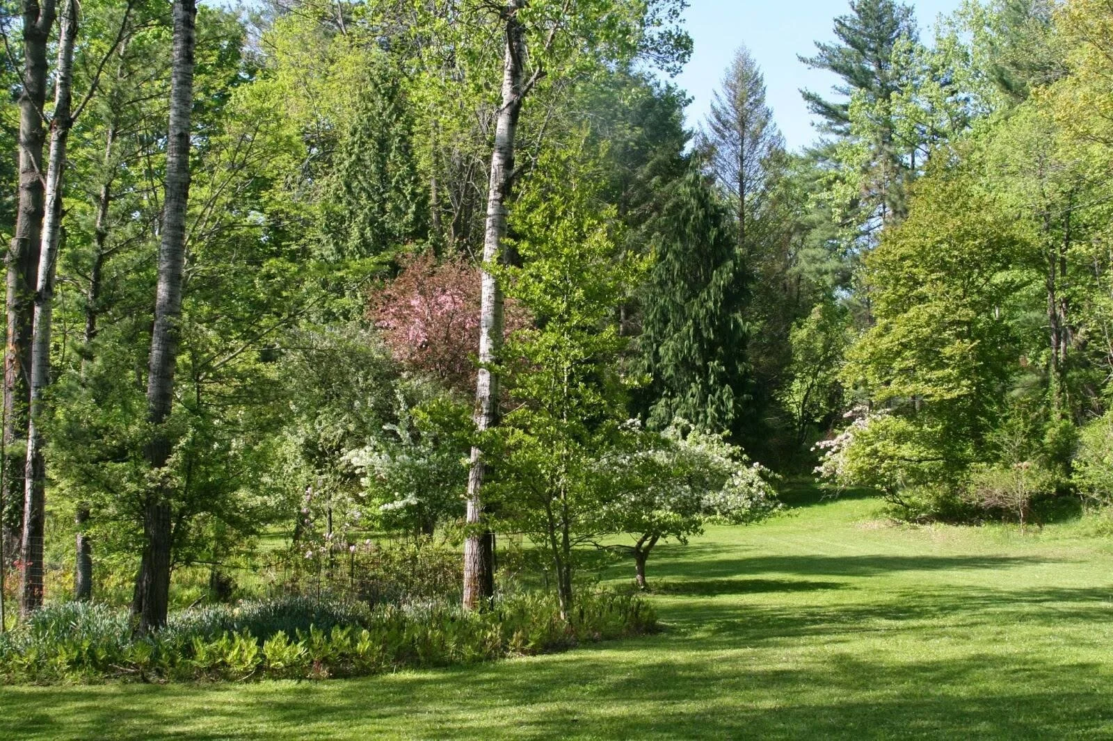 AMF Event: Nature Orchestra