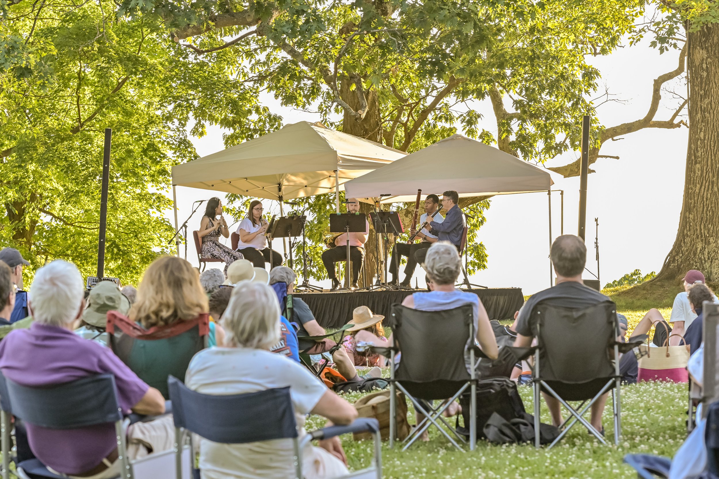  Enjoy a peaceful evening with a free Albany Symphony Quintet performance. 
