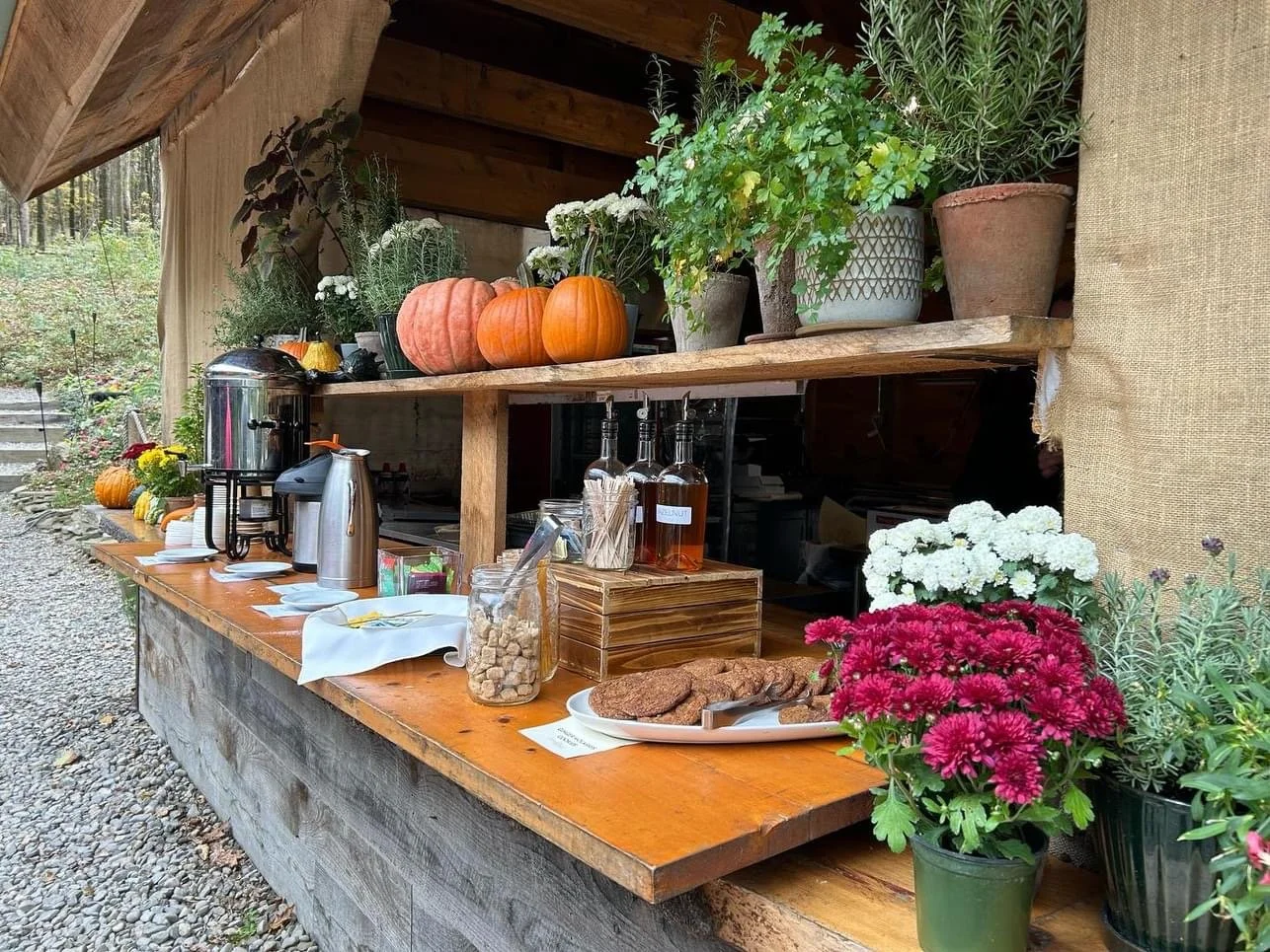 Vanguard: Jazz Brunch at June Farms