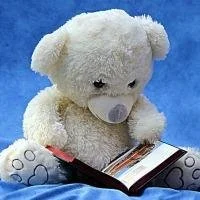 Storytime_photo of stuffed bear with book.jpg