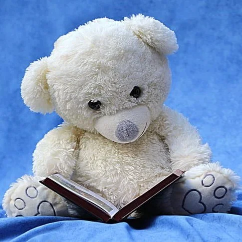 still-life-teddy-white-read-preview.jpg