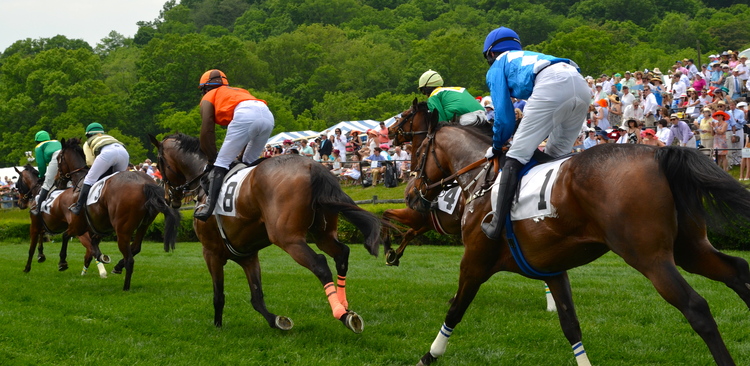 Source: @ Iroquois Steeplechase