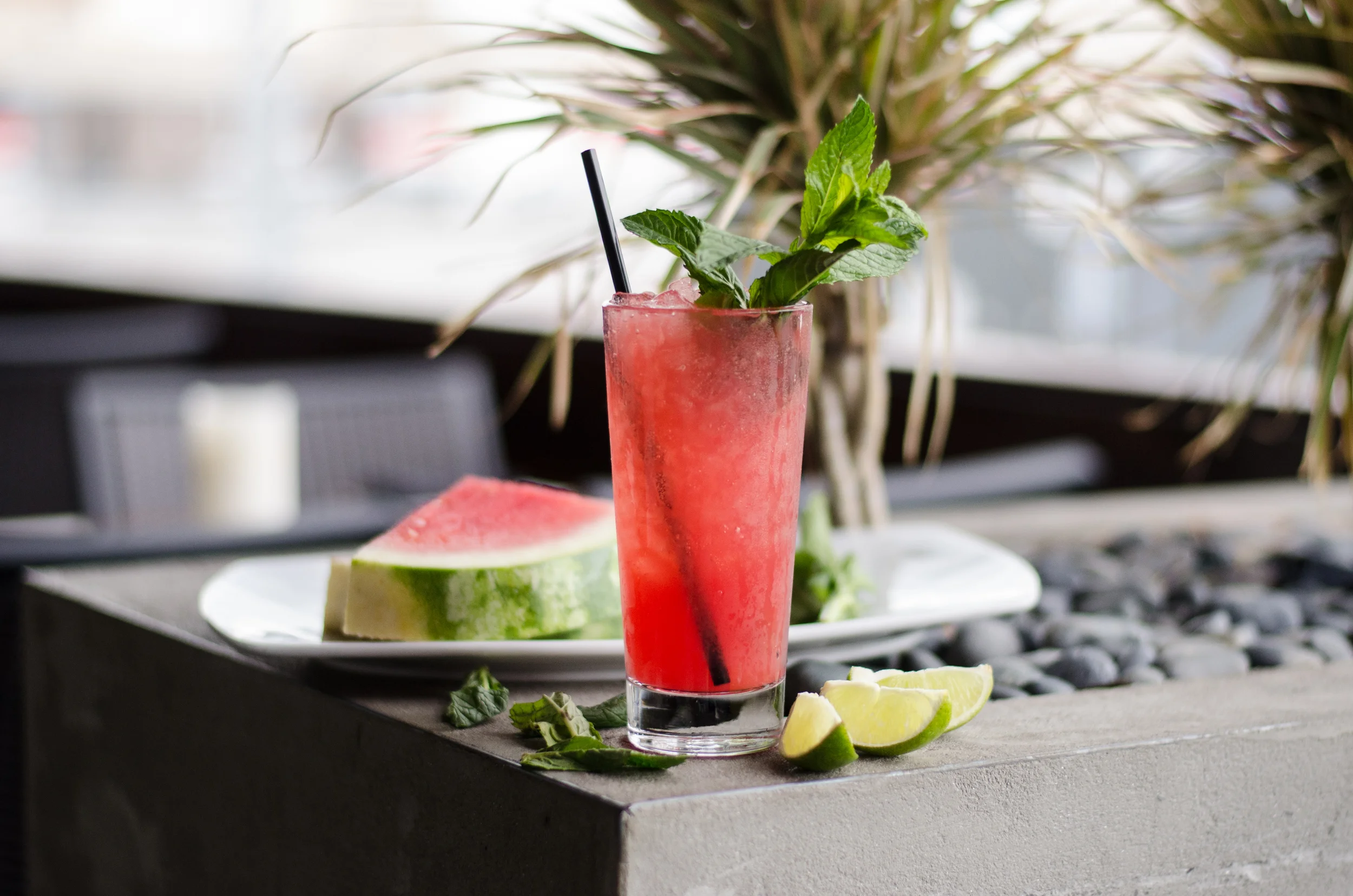 The Watermelon Mojito.