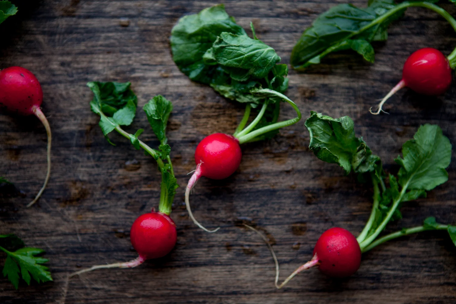 FOOD</a><strong></br></strong><a href="http://www.hellojuice.com/food-3">View Gallery →</a>