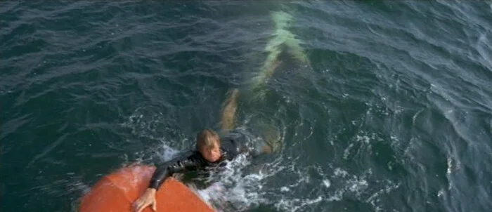 This chump definitely needed a bigger boat.