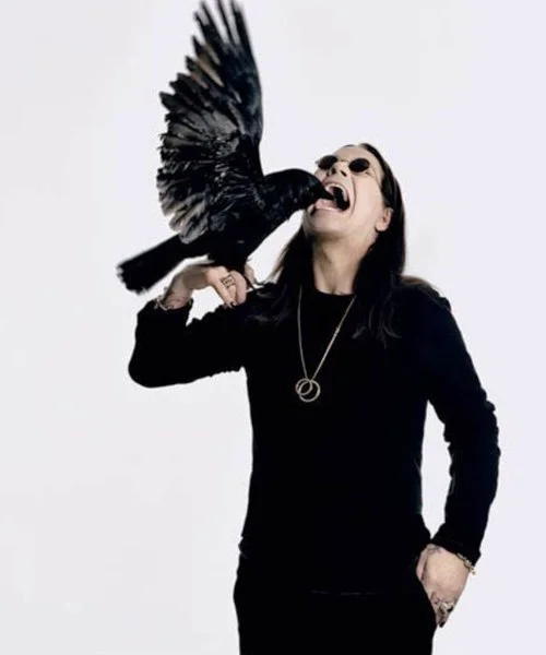 PSA to birds everywhere: Stay the hell away from this guy. Bats too I think.