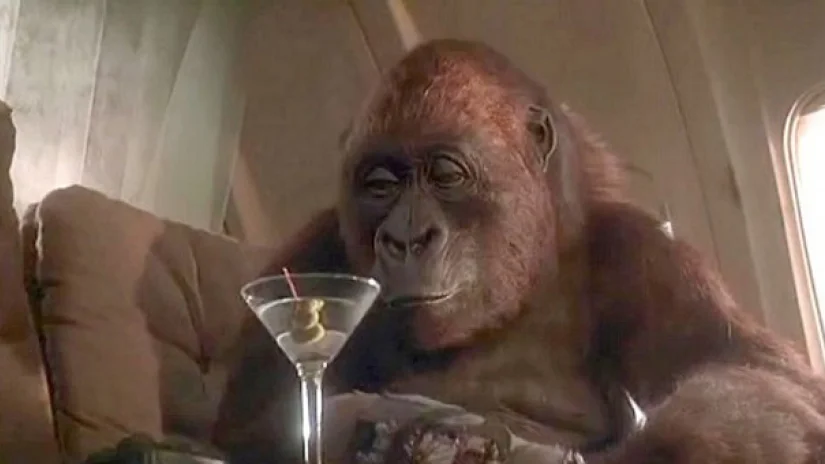 Cheers.