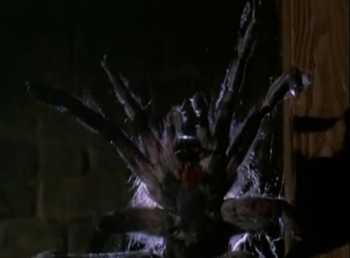 The Jaws of spiders.