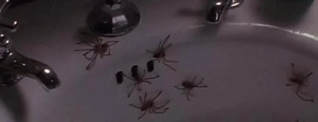 Nope nope nope nope nope nope nope nope nope nope nope nope nope nope