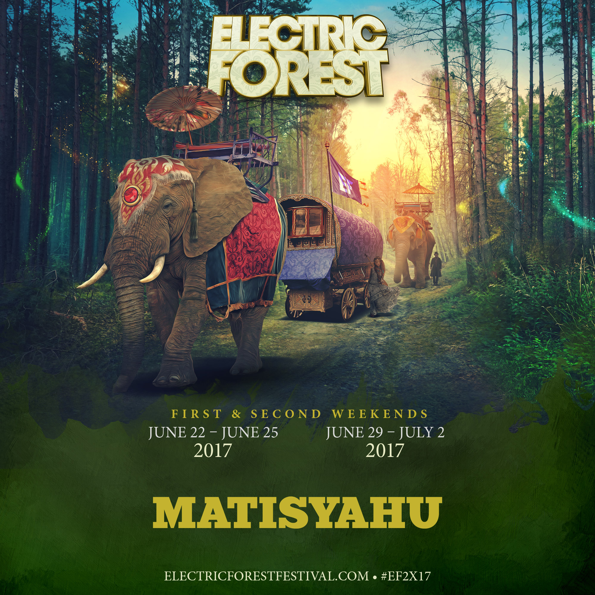 electric forest 2017.JPG