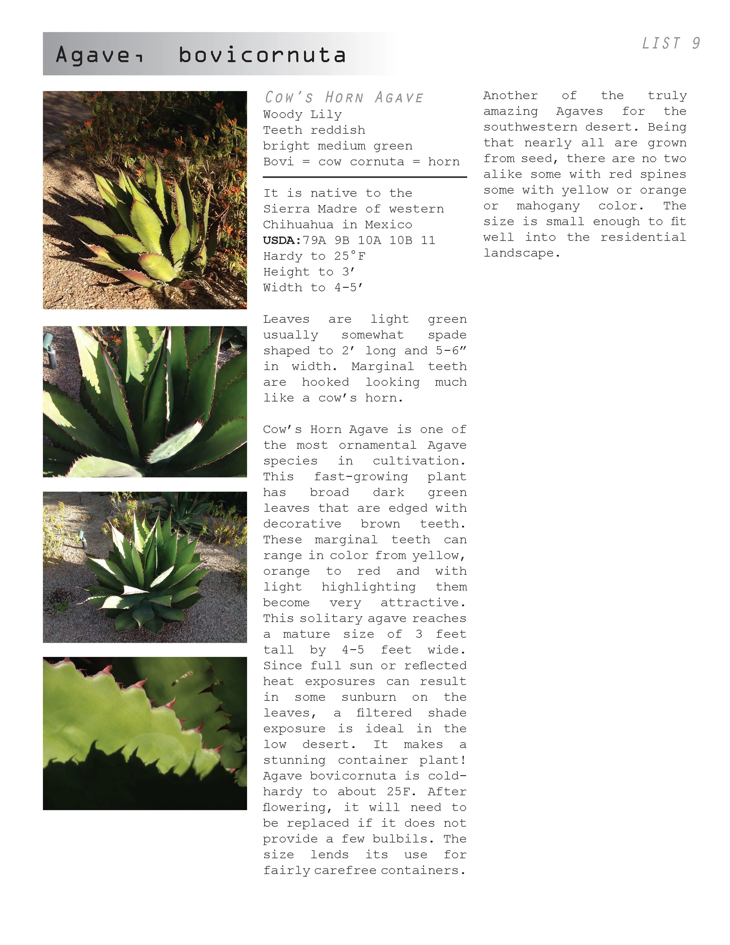 AC plant book_04.30.12_Page_014.jpg