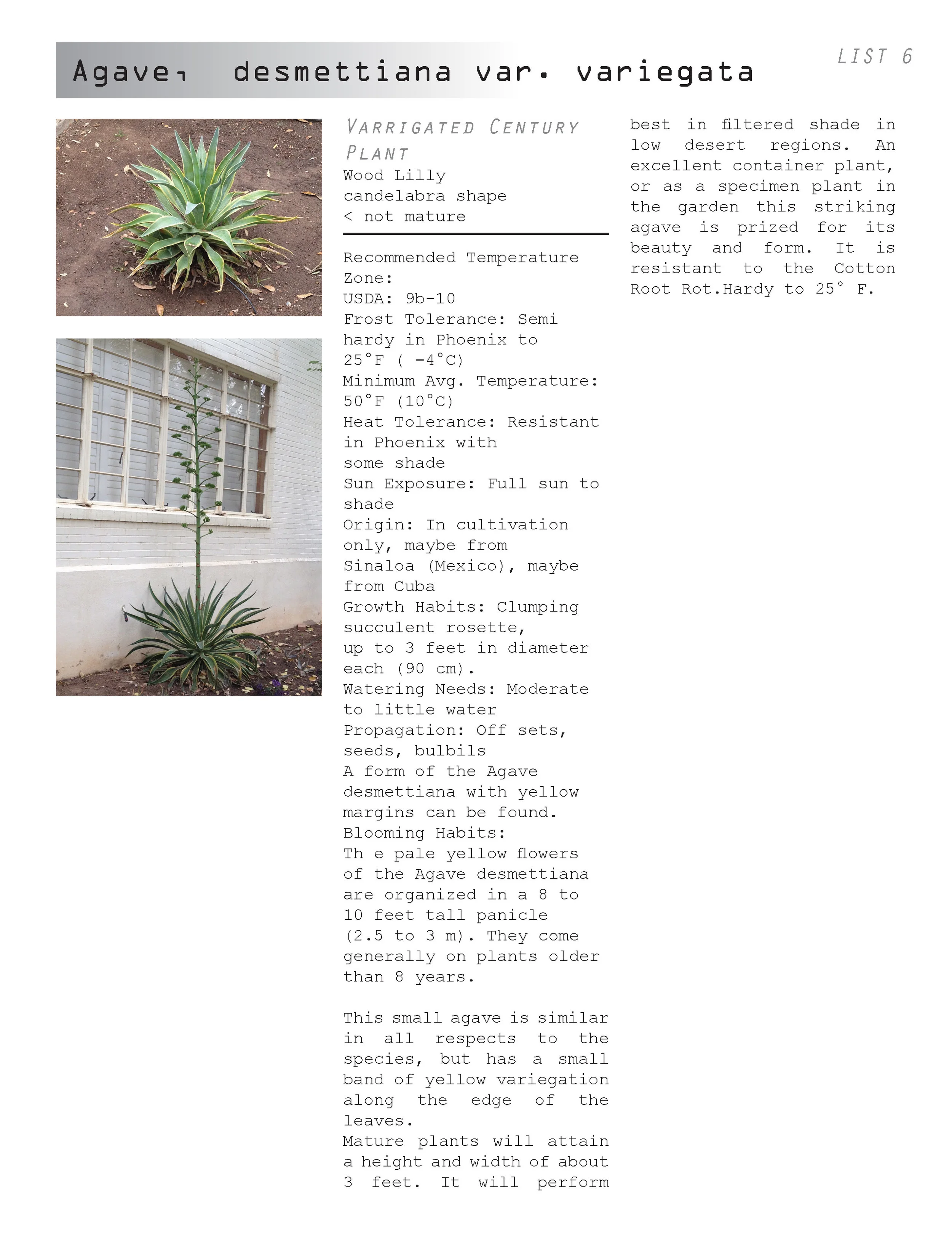 AC plant book_04.30.12_Page_018.jpg