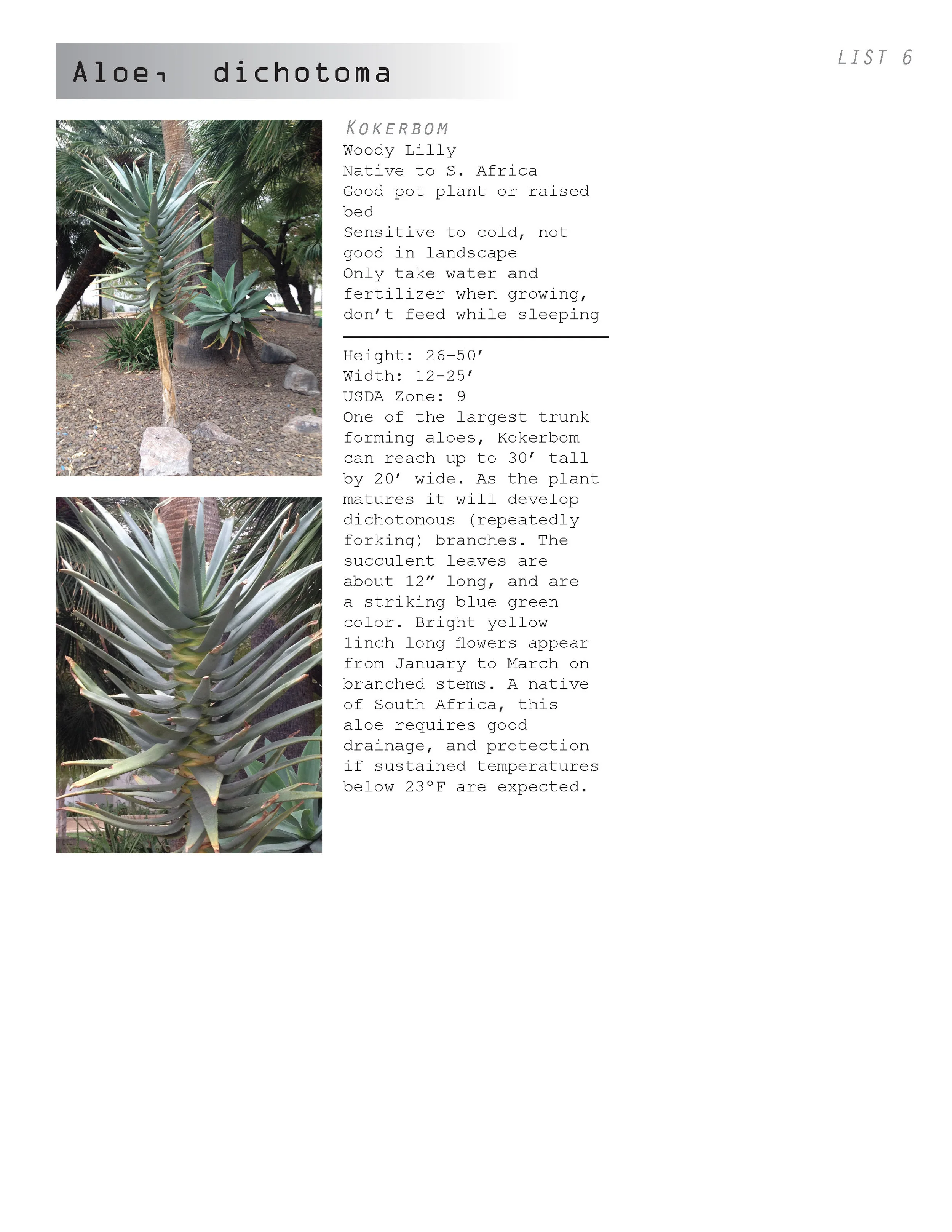AC plant book_04.30.12_Page_029.jpg