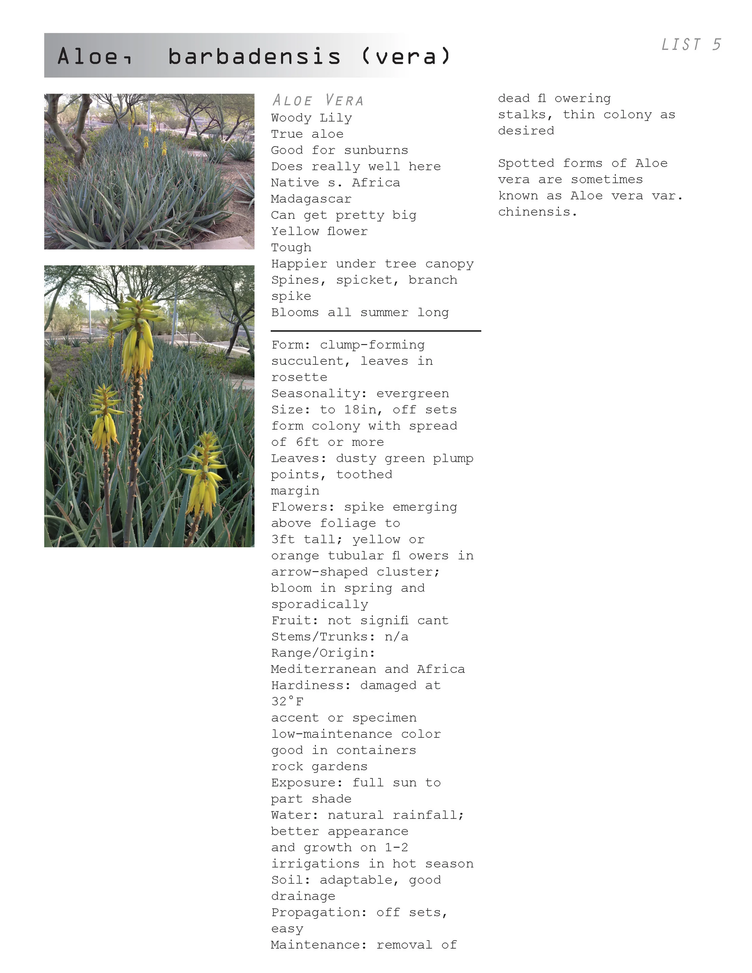 AC plant book_04.30.12_Page_028.jpg