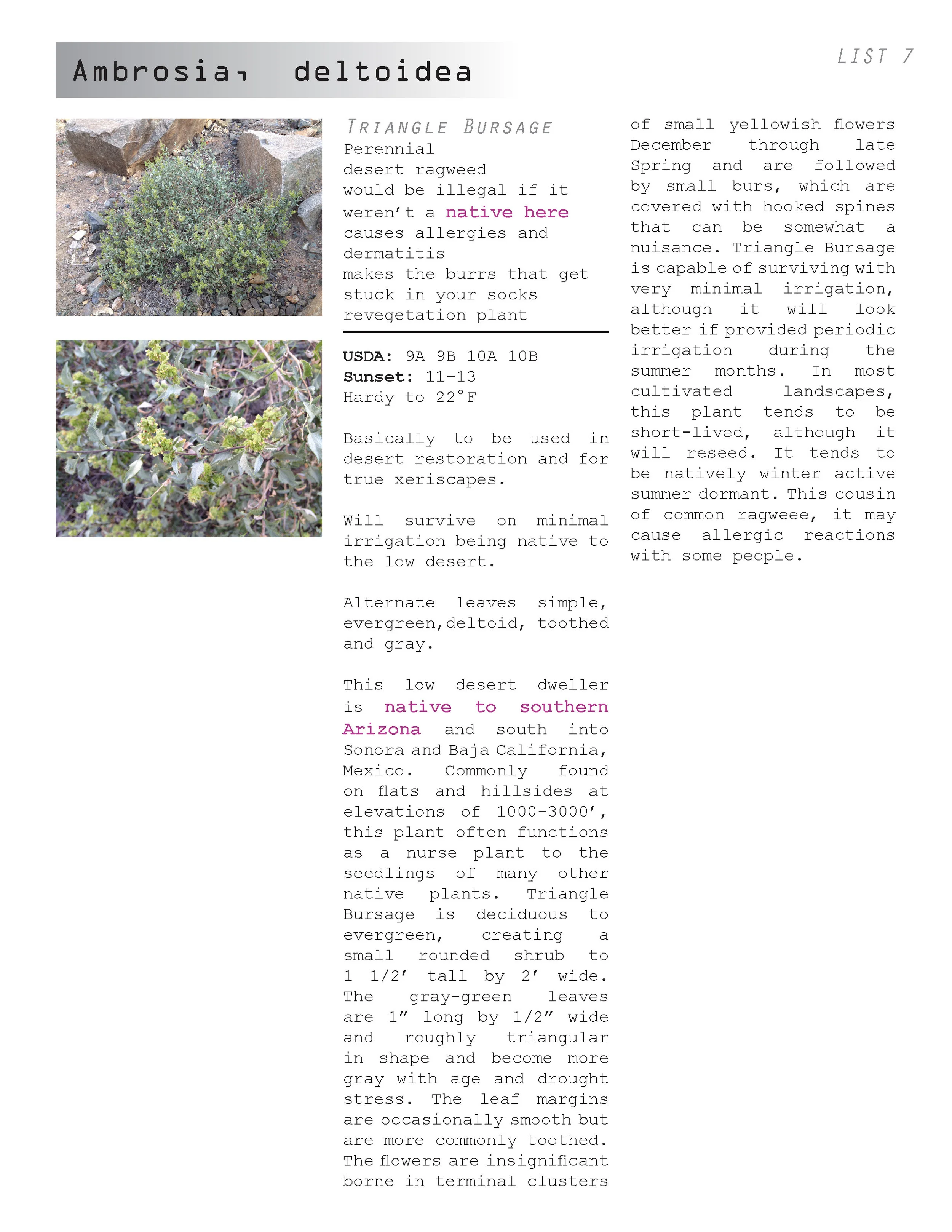 AC plant book_04.30.12_Page_034.jpg