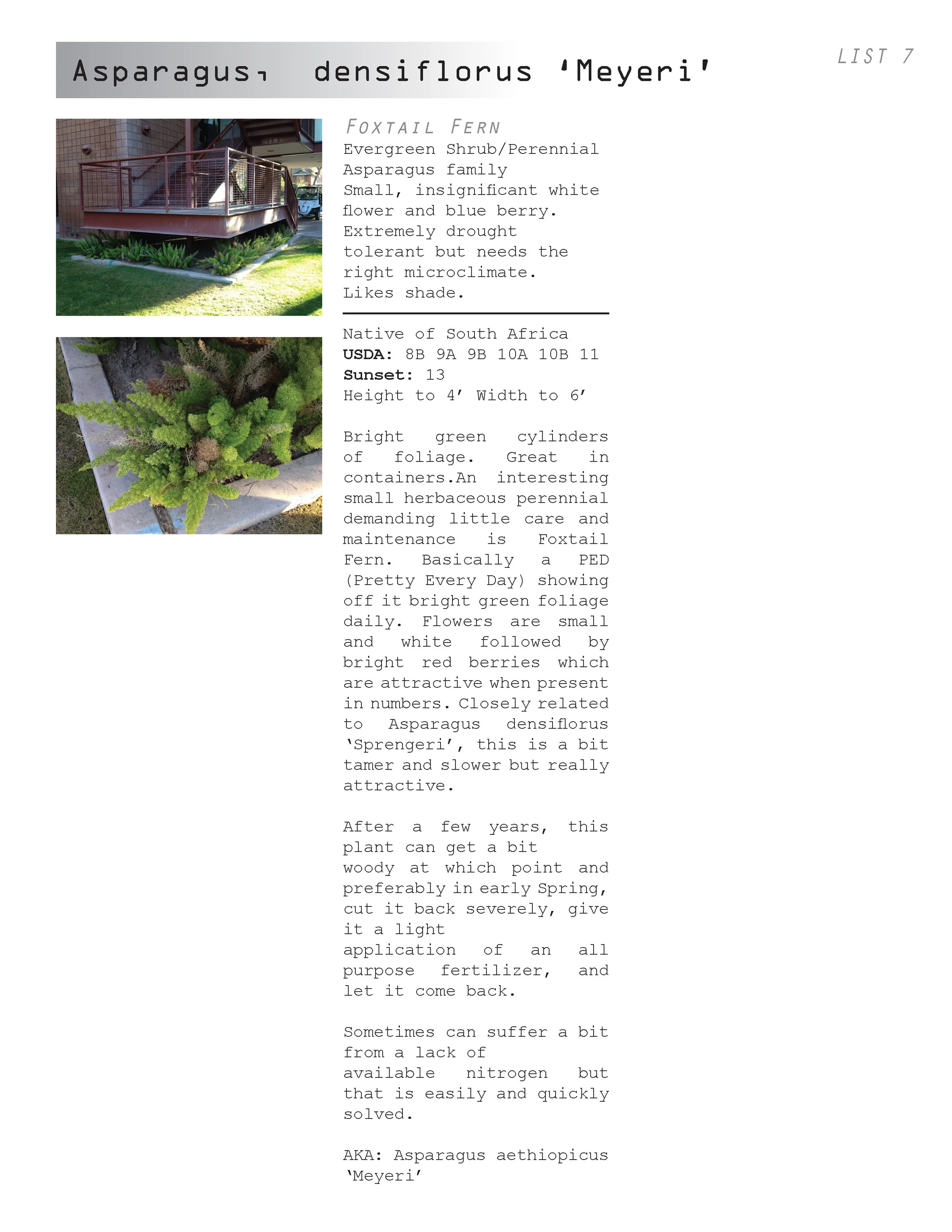 AC plant book_04.30.12_Page_036.jpg