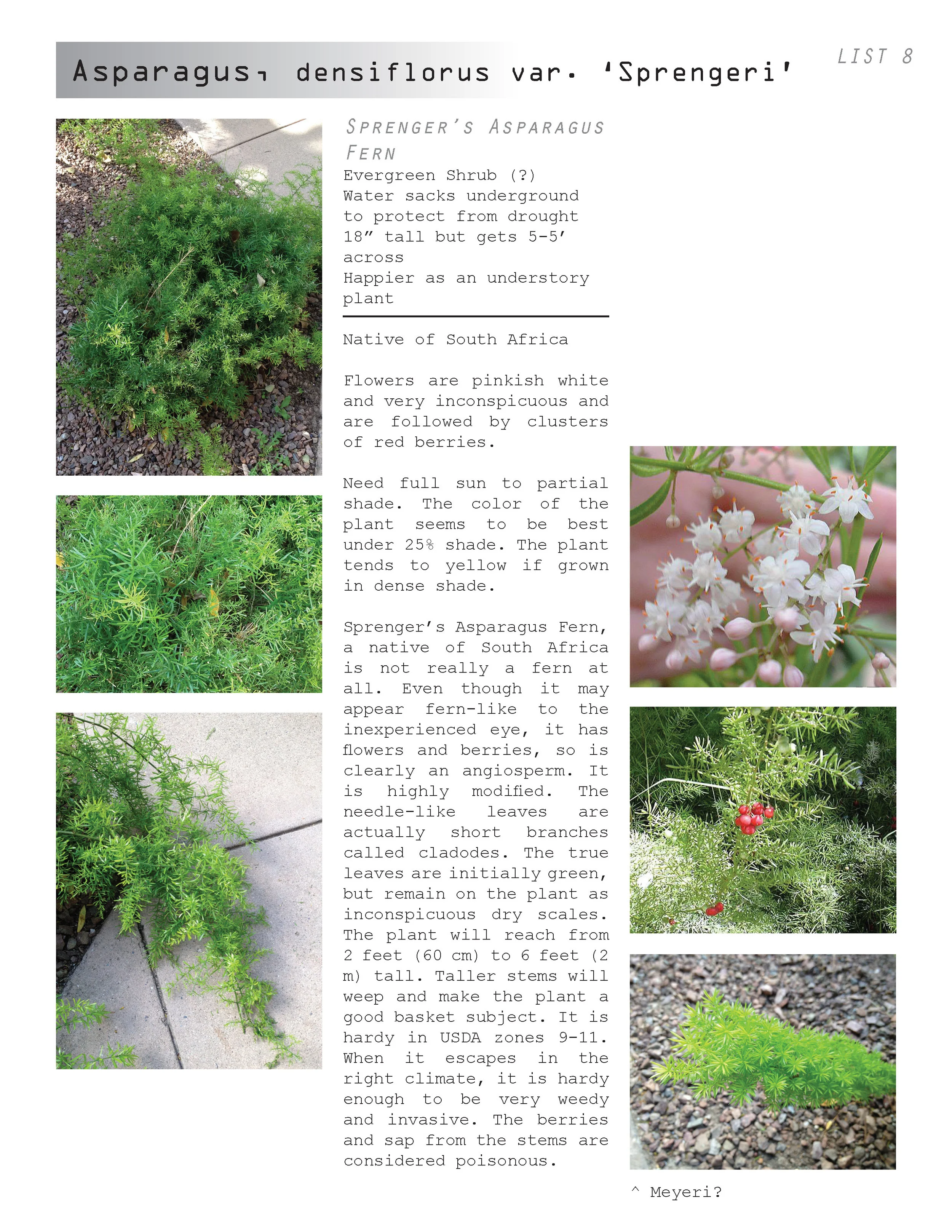 AC plant book_04.30.12_Page_037.jpg