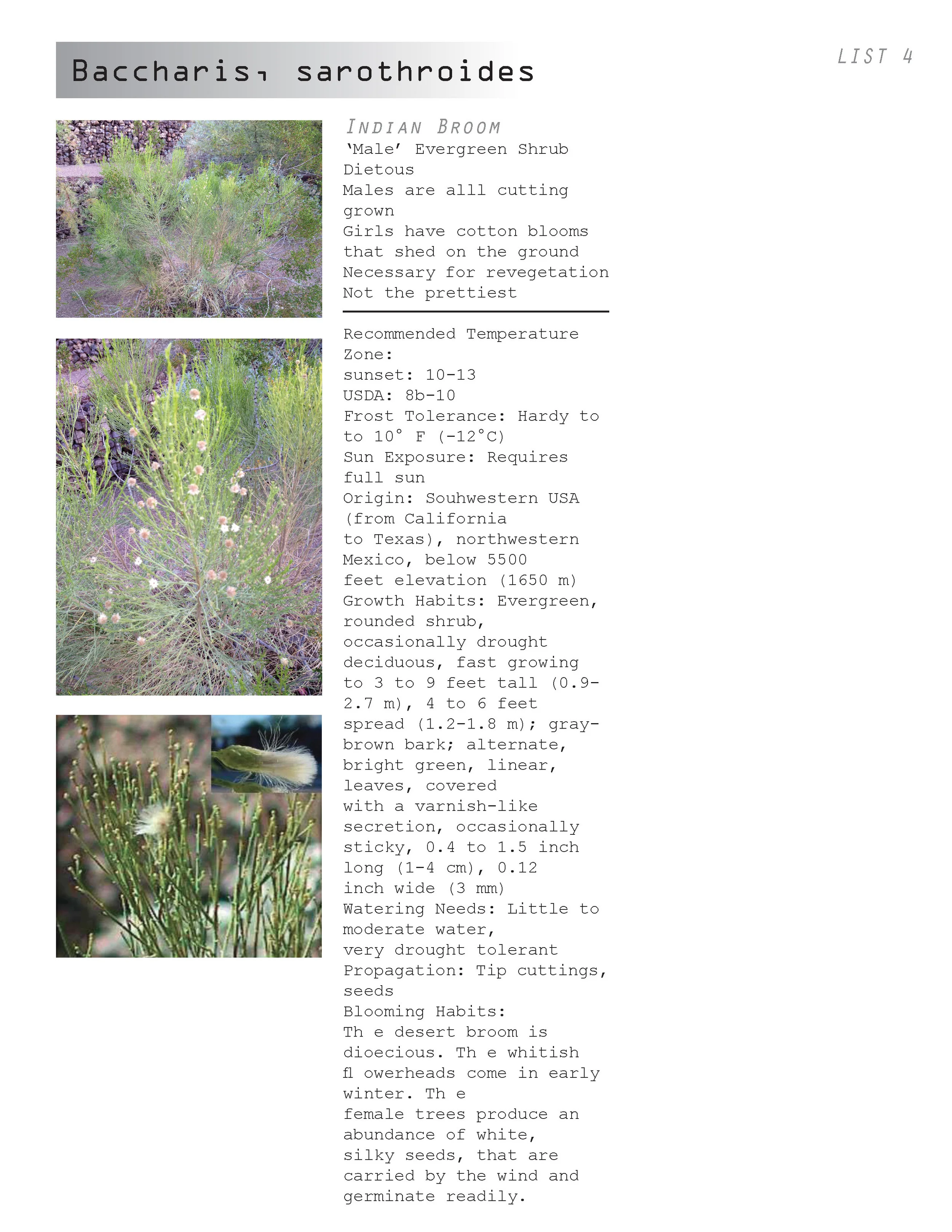 AC plant book_04.30.12_Page_040.jpg