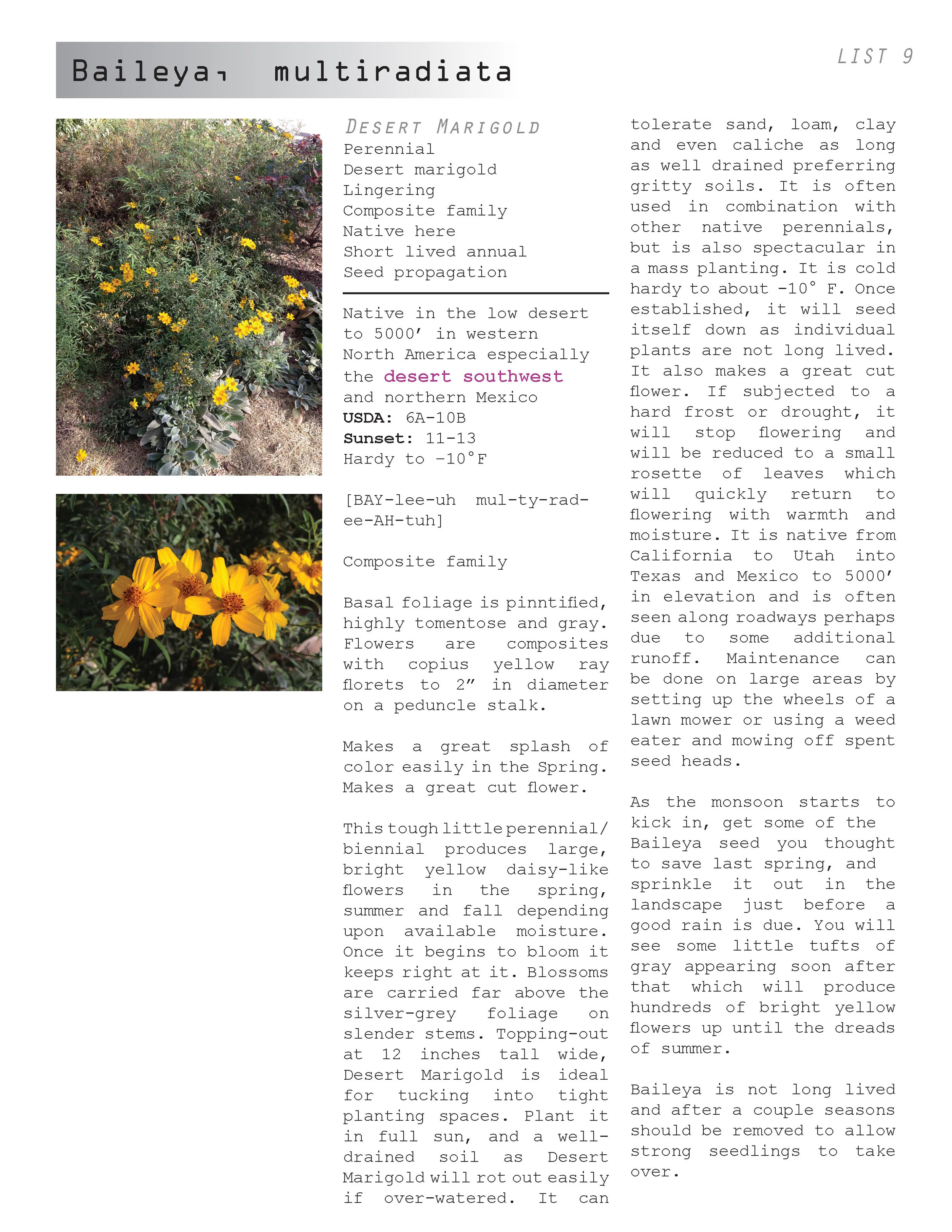 AC plant book_04.30.12_Page_041.jpg