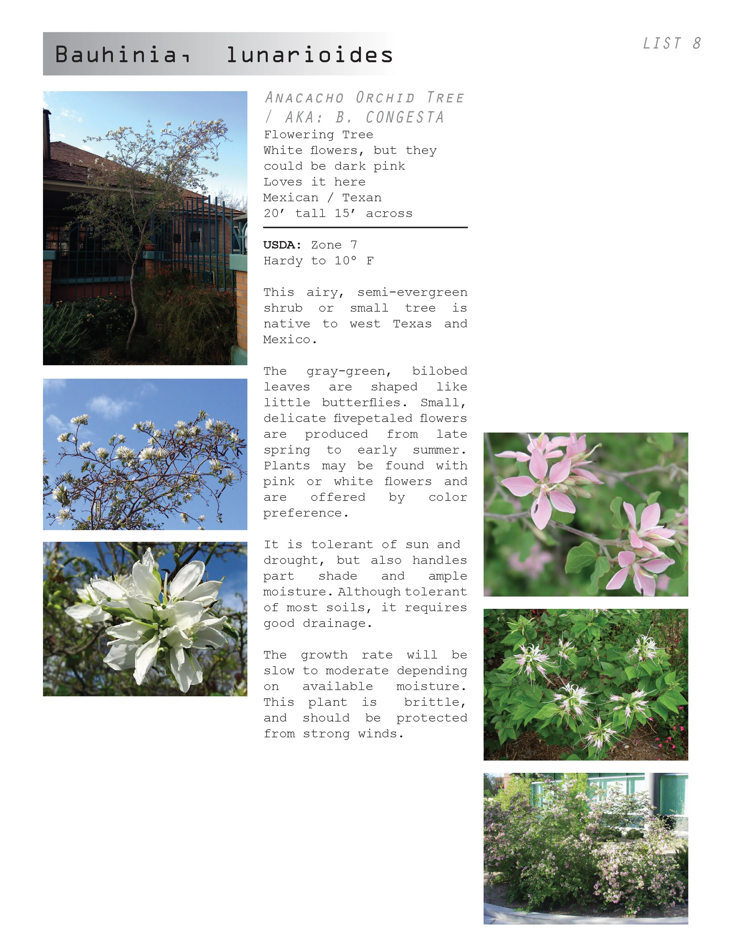 AC plant book_04.30.12_Page_042.jpg