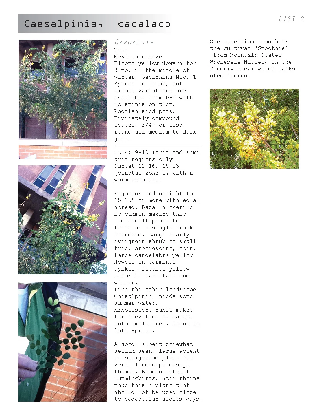 AC plant book_04.30.12_Page_052.jpg