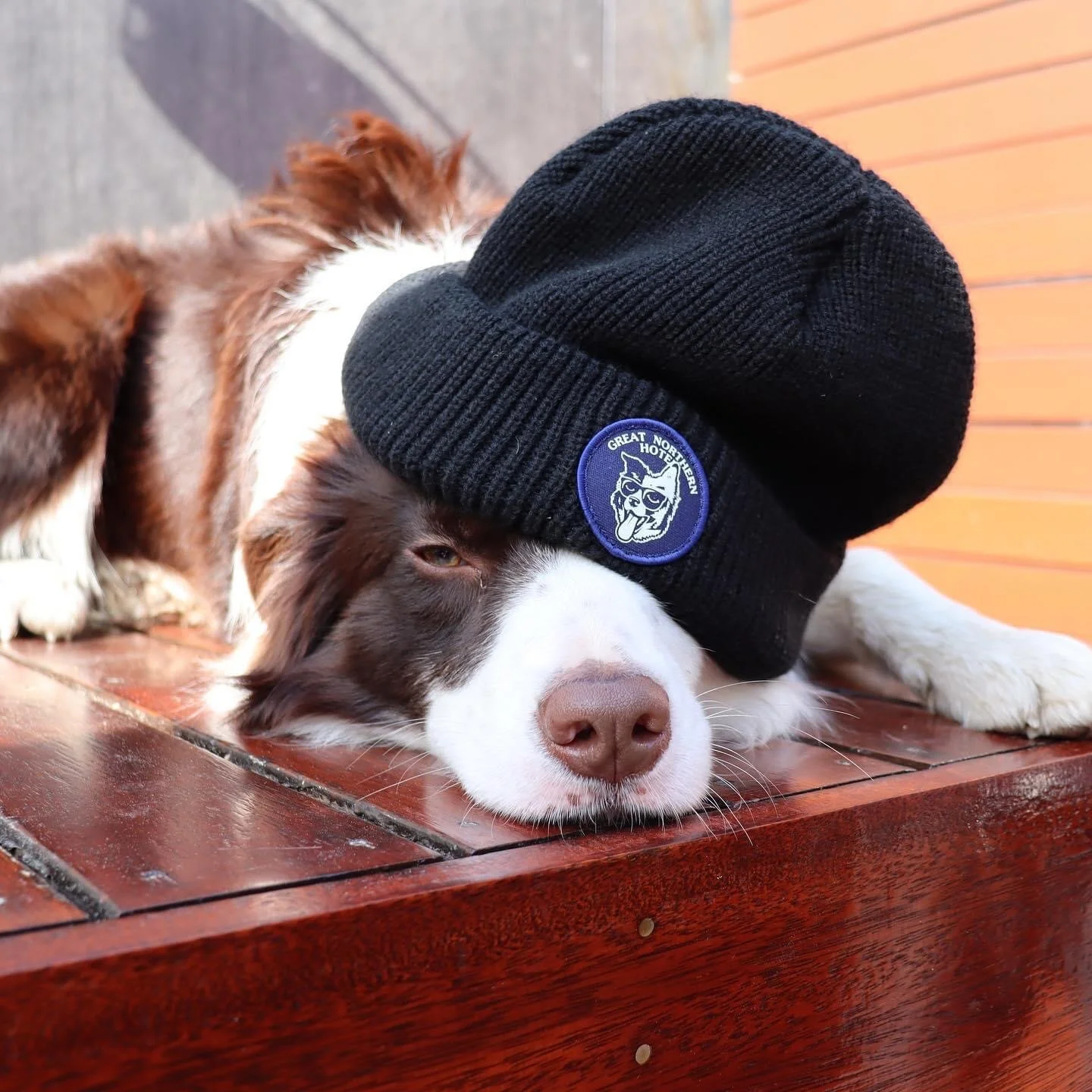 9EAD1E3B-22F9-4976-8E47-9FBA6551A13F