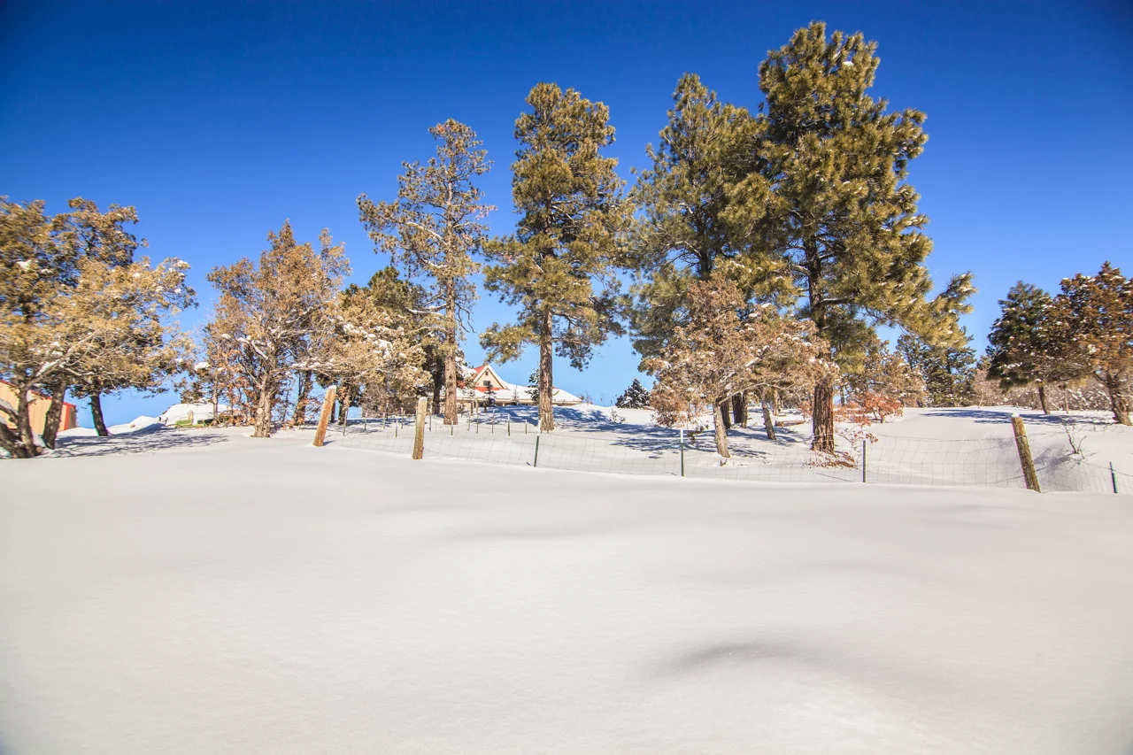 EXT 400 Rifle Place CREN-01.jpg