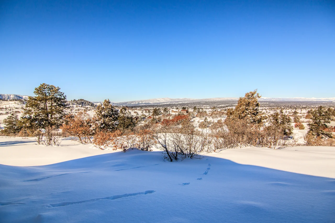 EXT 400 Rifle Place CREN-19.jpg