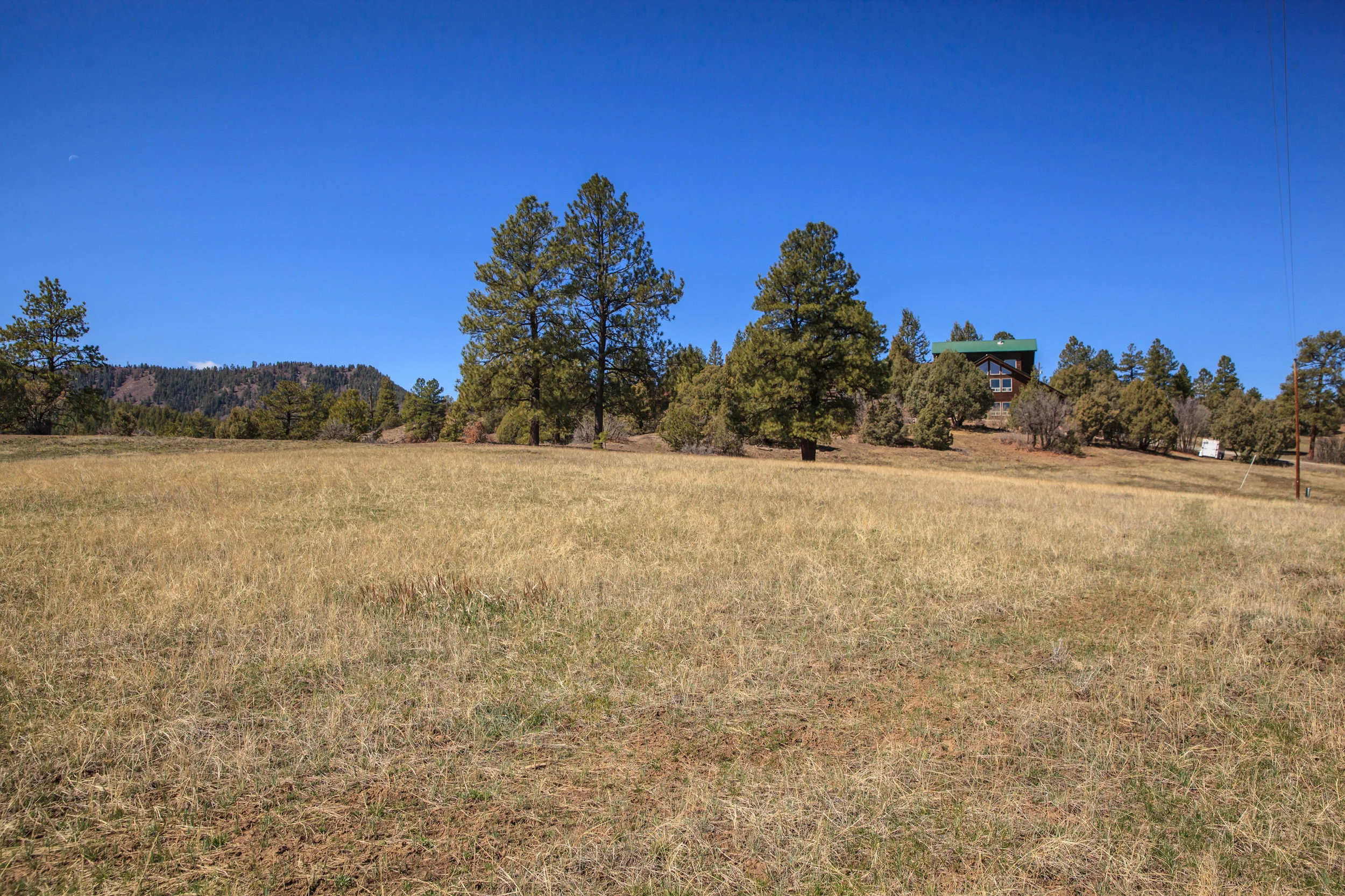 EXT Meadows CREN--2.jpg