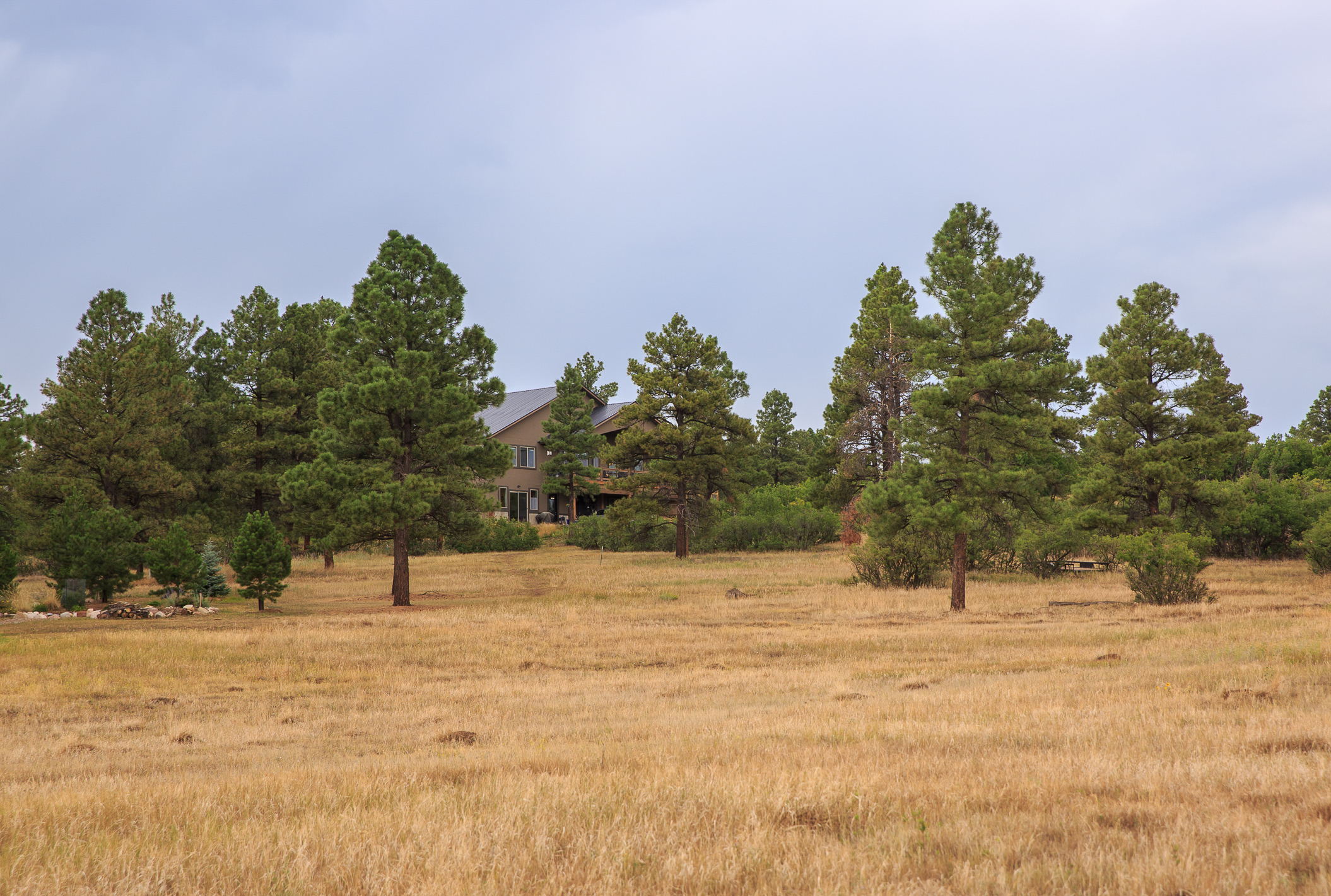 N Pagosa Blvd EXT CREN--2.jpg