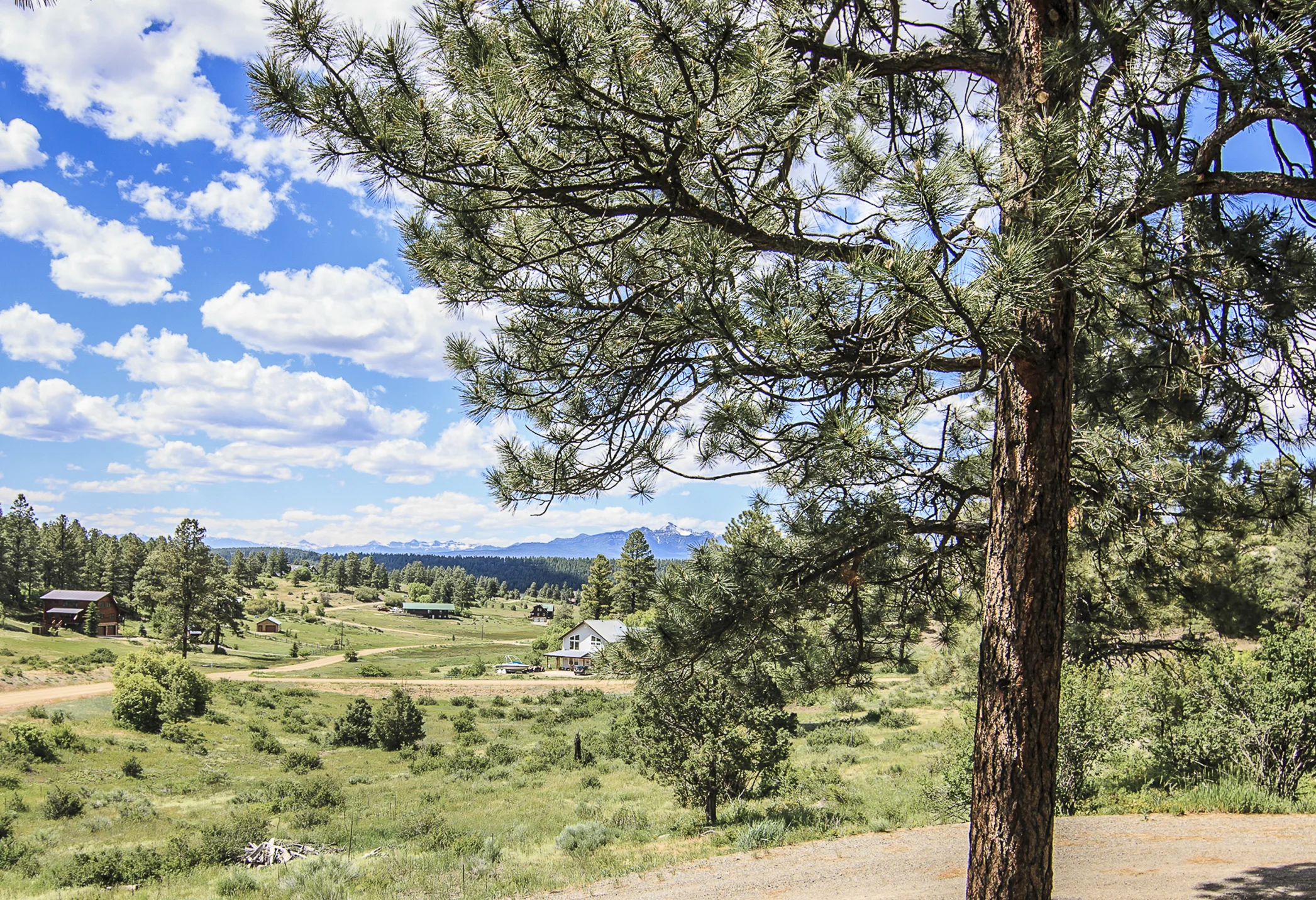 628 Buck Drive EXT CREN--12.jpg
