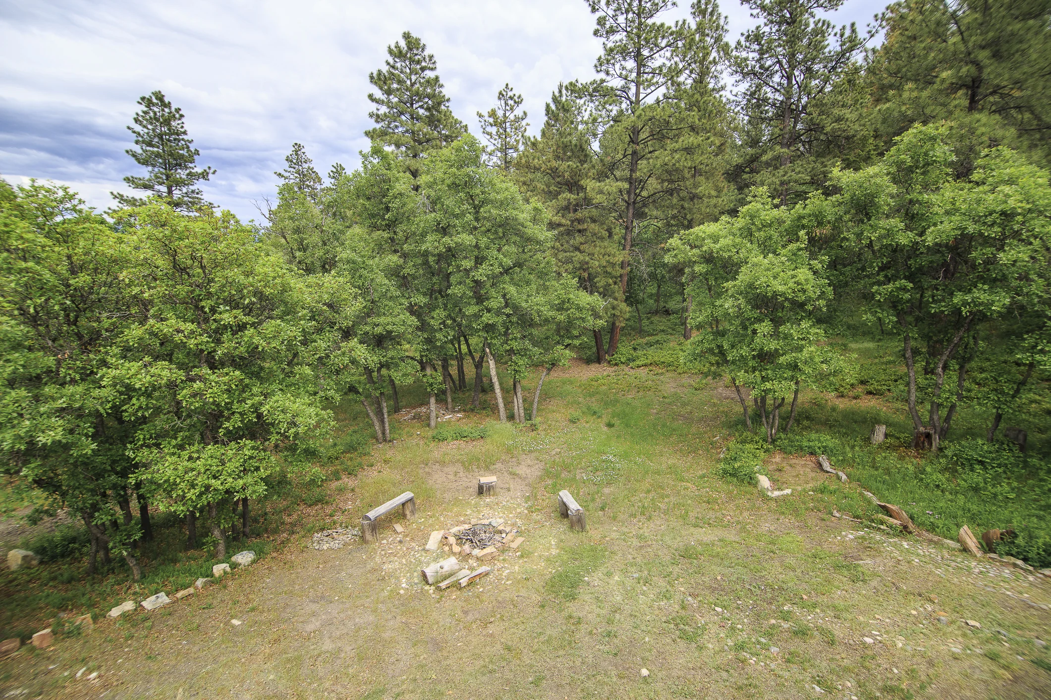 Bristlecone EXT CREN--23.jpg