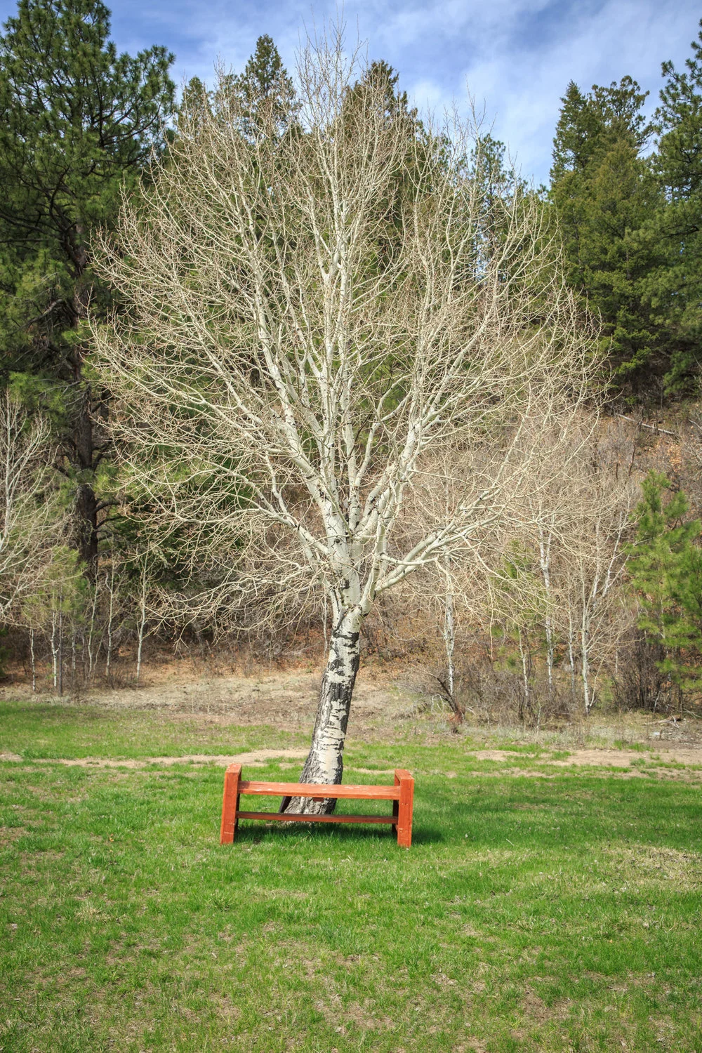 EXTSnowWolfLodgeCREN--81_003.jpg