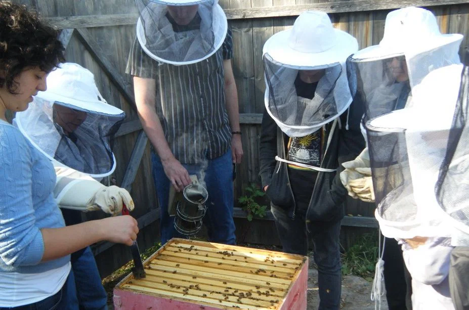Visit with Princeton University's Bee Team