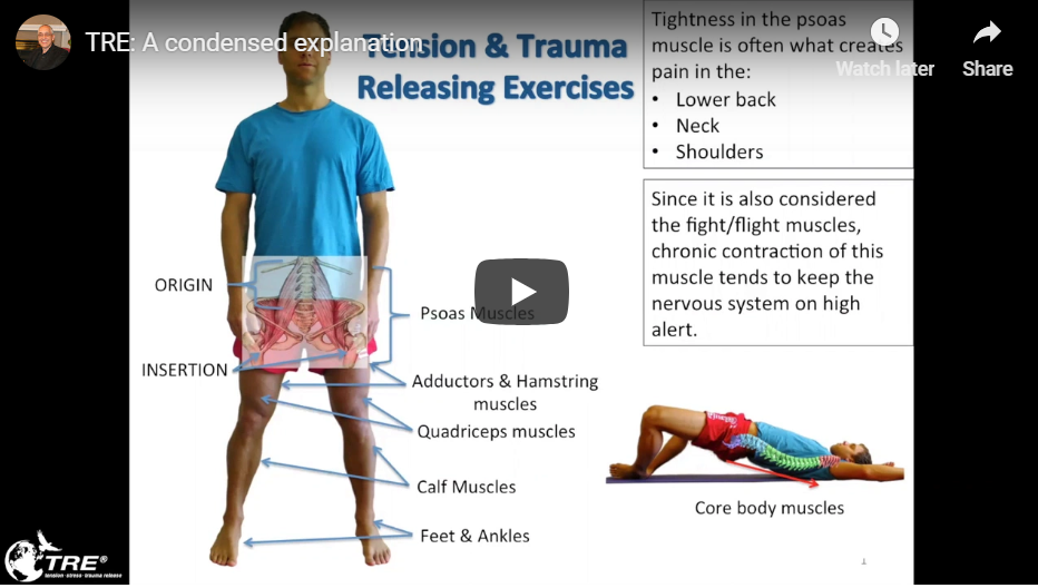 2018-12-13 14_03_29-What is TRE® _ Tension, Stress and Trauma Release _ TRE®screenshot.png