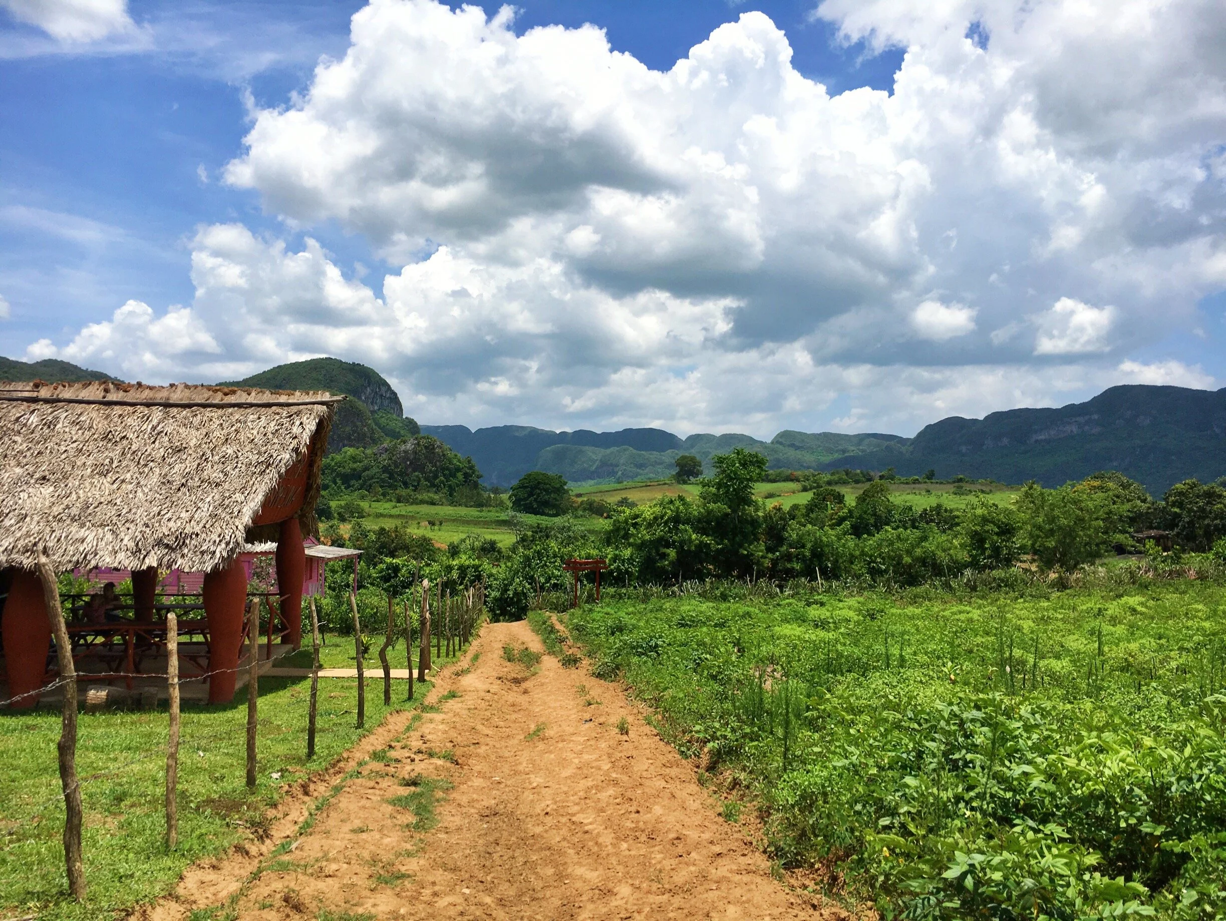 Day Trip to Viñales, Cuba 