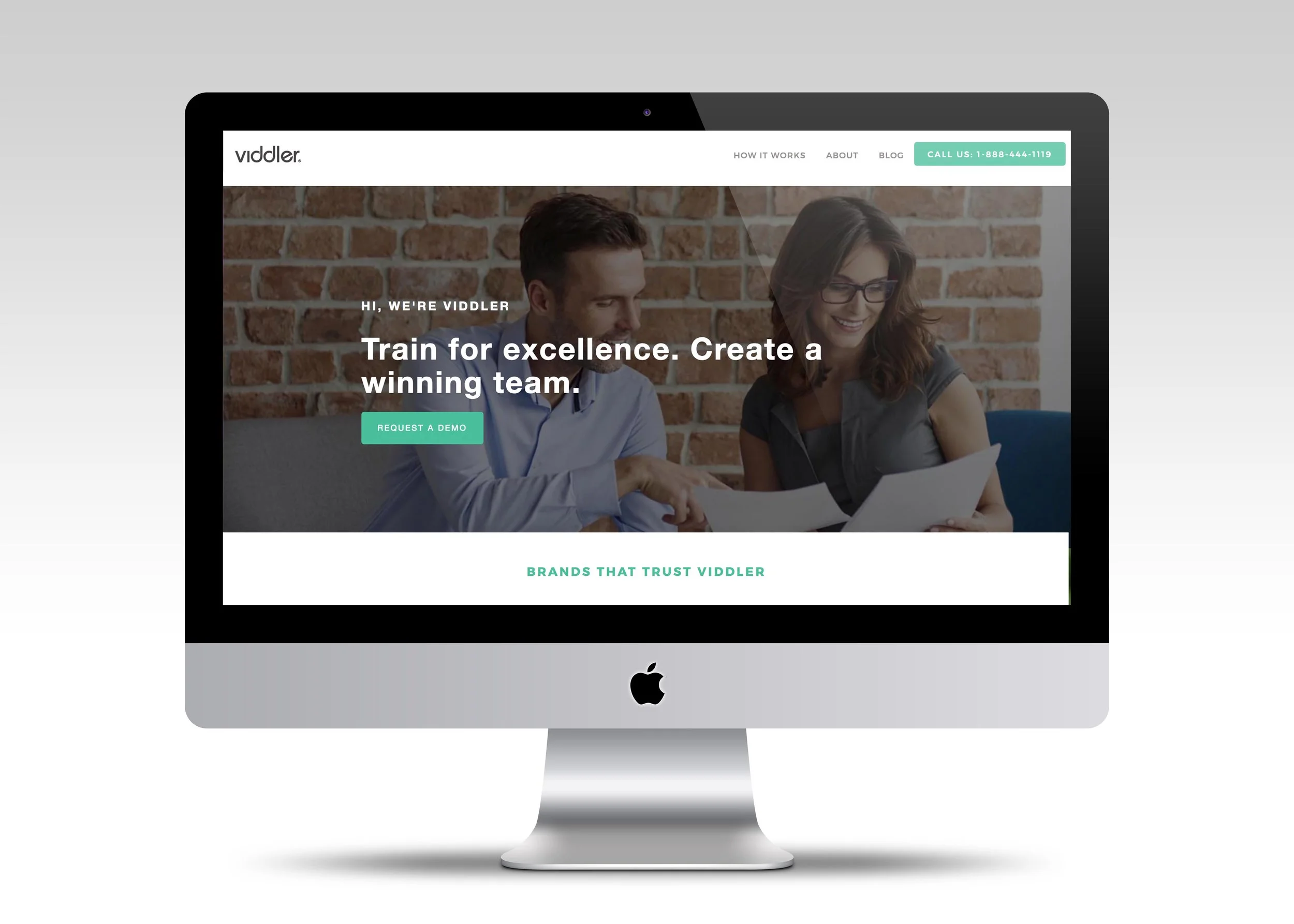 Viddler Homepage 2017