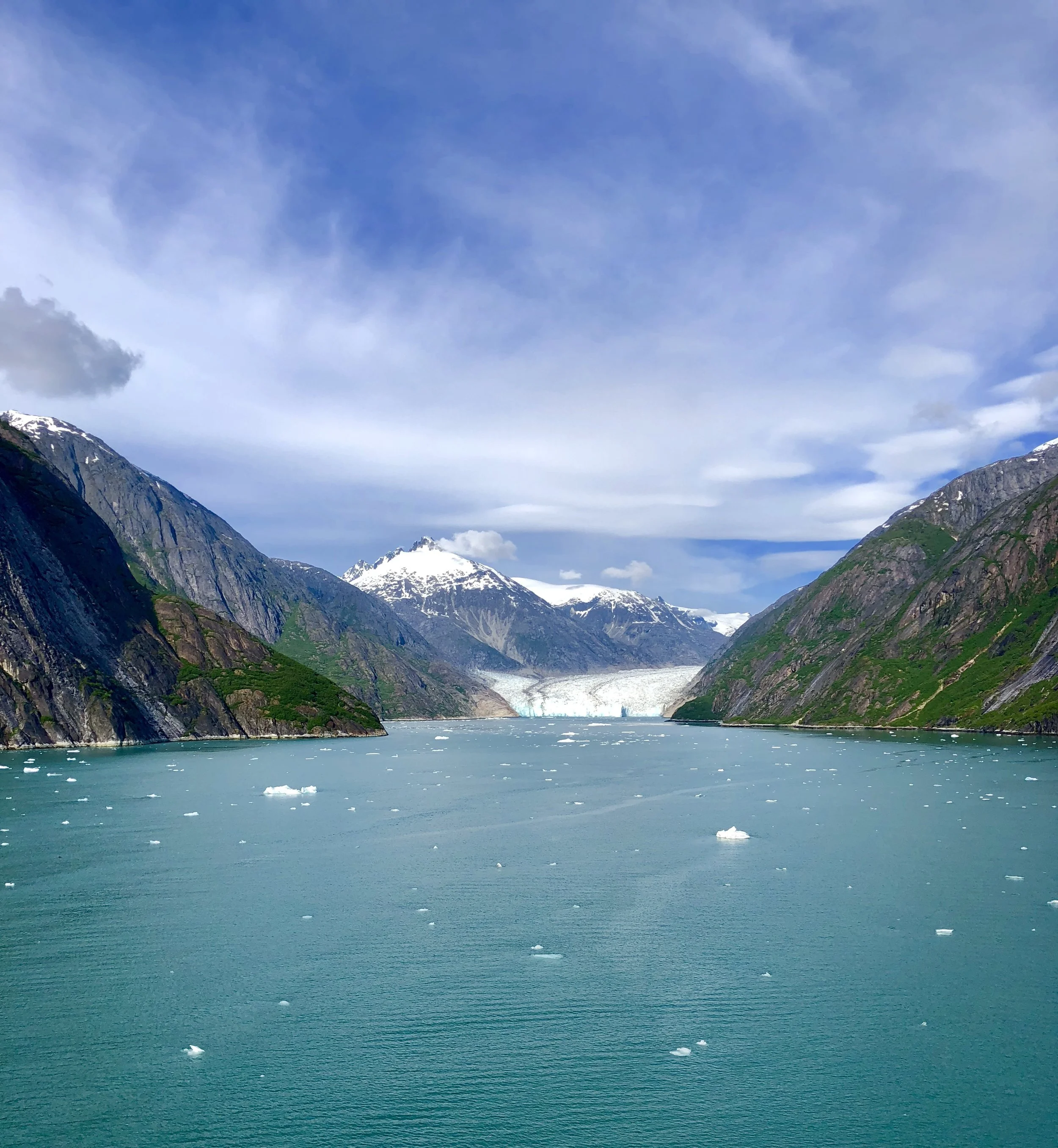 2018: The Year in Review