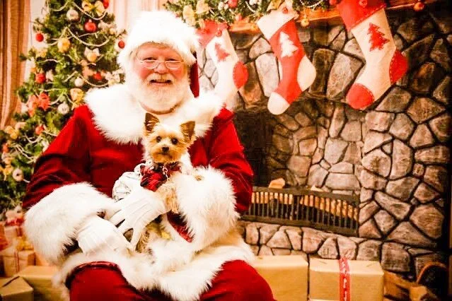 He&rsquo;s on the nice list 🙌🏼🎅🏼🎄🐶 #auggieapproved #santaapproved #santa #saintaugustine