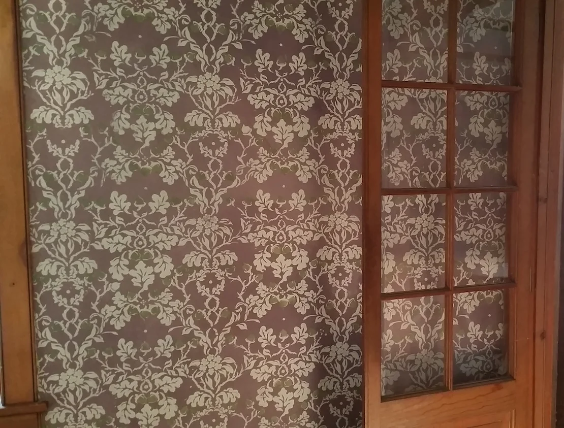 Acorn JP Purple 1500.jpeg