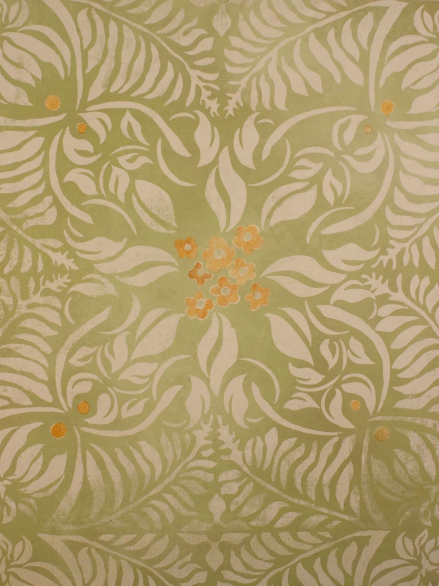 Rhodie in Fresca.jpg