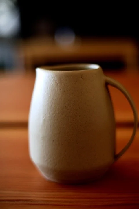 Avocado Pitcher 2.jpg