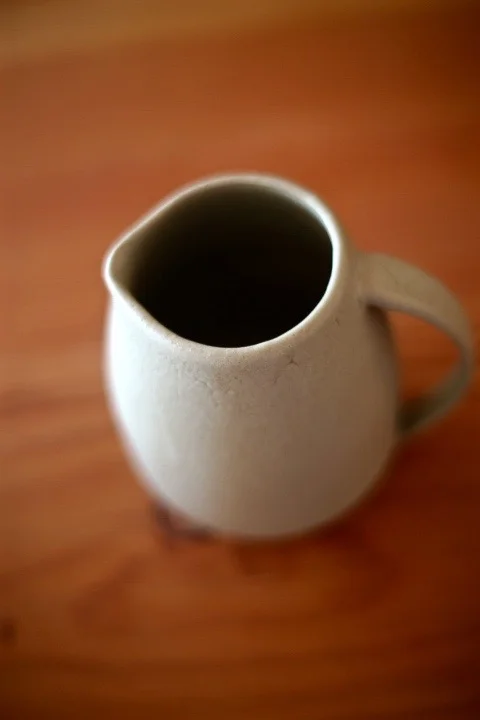 Avocado Pitcher 3.jpg