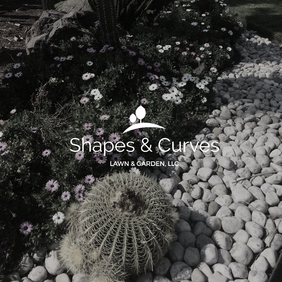 Shapes &amp; Curves Lawn &amp; Garden