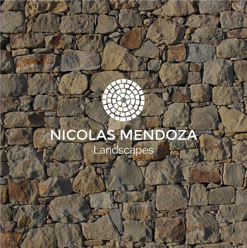 Nicolas Mendoza Landscapes