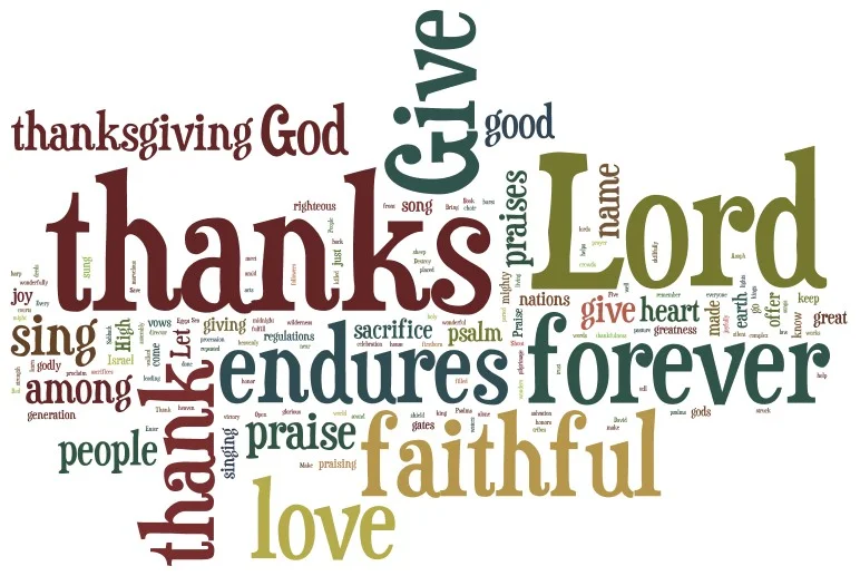 1 Main Thing the Psalms of Thanks Do For Us